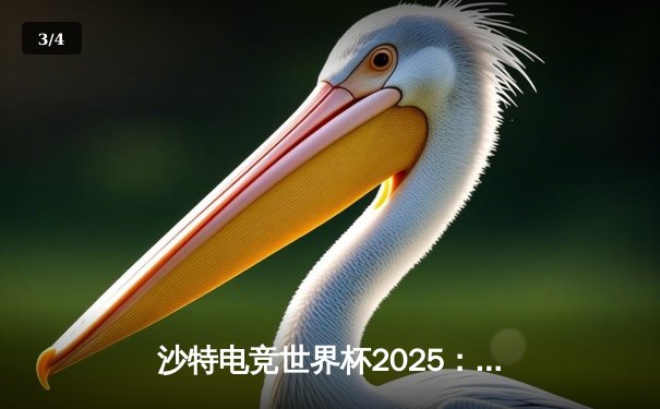 沙特电竞世界杯2025：Team Falcons鏖战五局斩获《CS2》总冠军，Zywoo决赛1v4残局封神 - 3